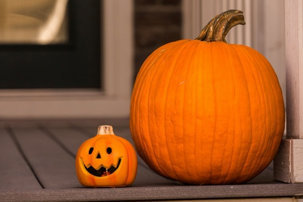 pumpkins